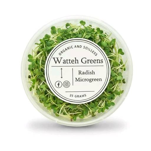 watteh Green Radish Microgreen 25 gm box