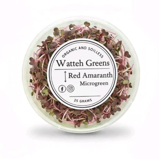 Watteh Green Red Amaranth 25 gm box