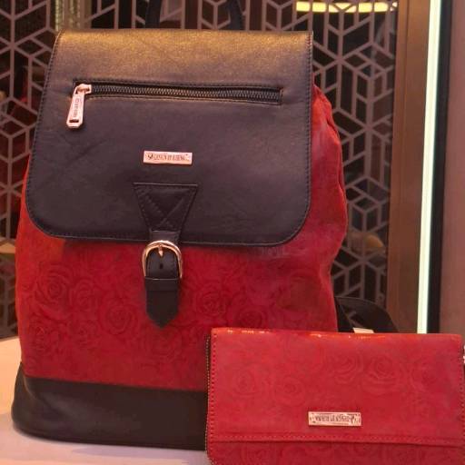 Leather Ladies Bag pack