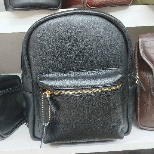 Leather Ladies Backpack