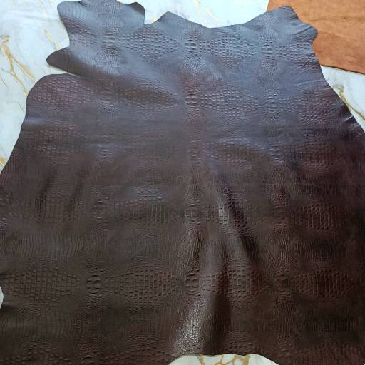 Chocolate Shade Colour- Crocodile Dise