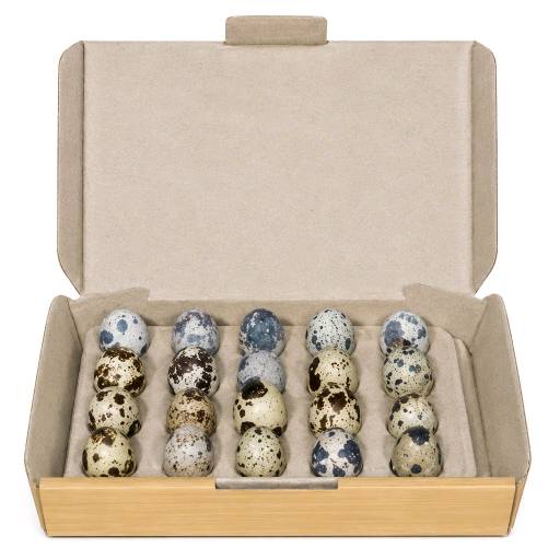 Quail Eggs Box- 12 Piece, 20 piece  (1 Bundle)