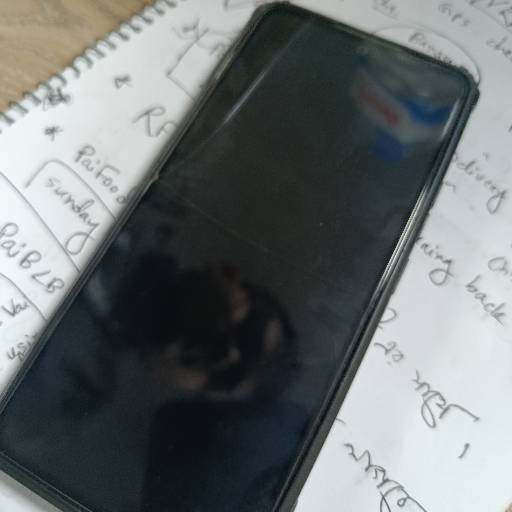 Test 13