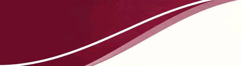 Total Export cover photo