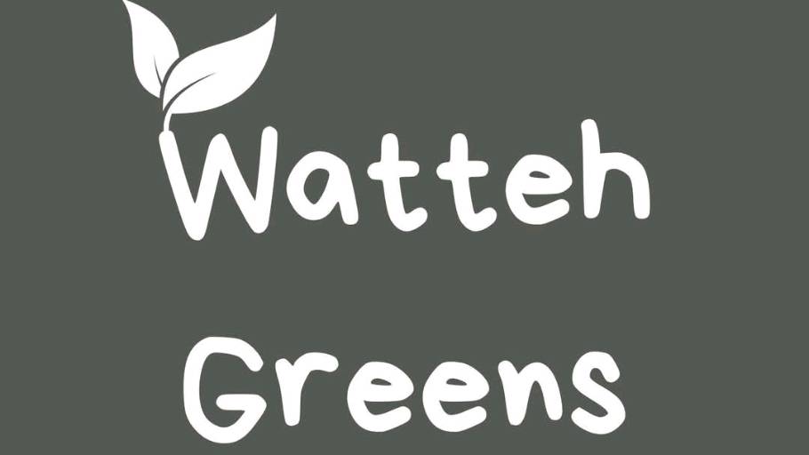 Watteh Green cover photo
